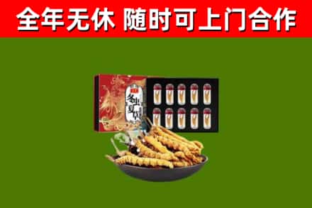 临潼区回收冬虫夏草价格